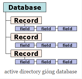 tong-quan-ve-active-directory-tren-windows-server-2008-phan-2-02