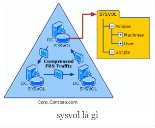 tong-quan-ve-active-directory-tren-windows-server-2008-phan-2-05